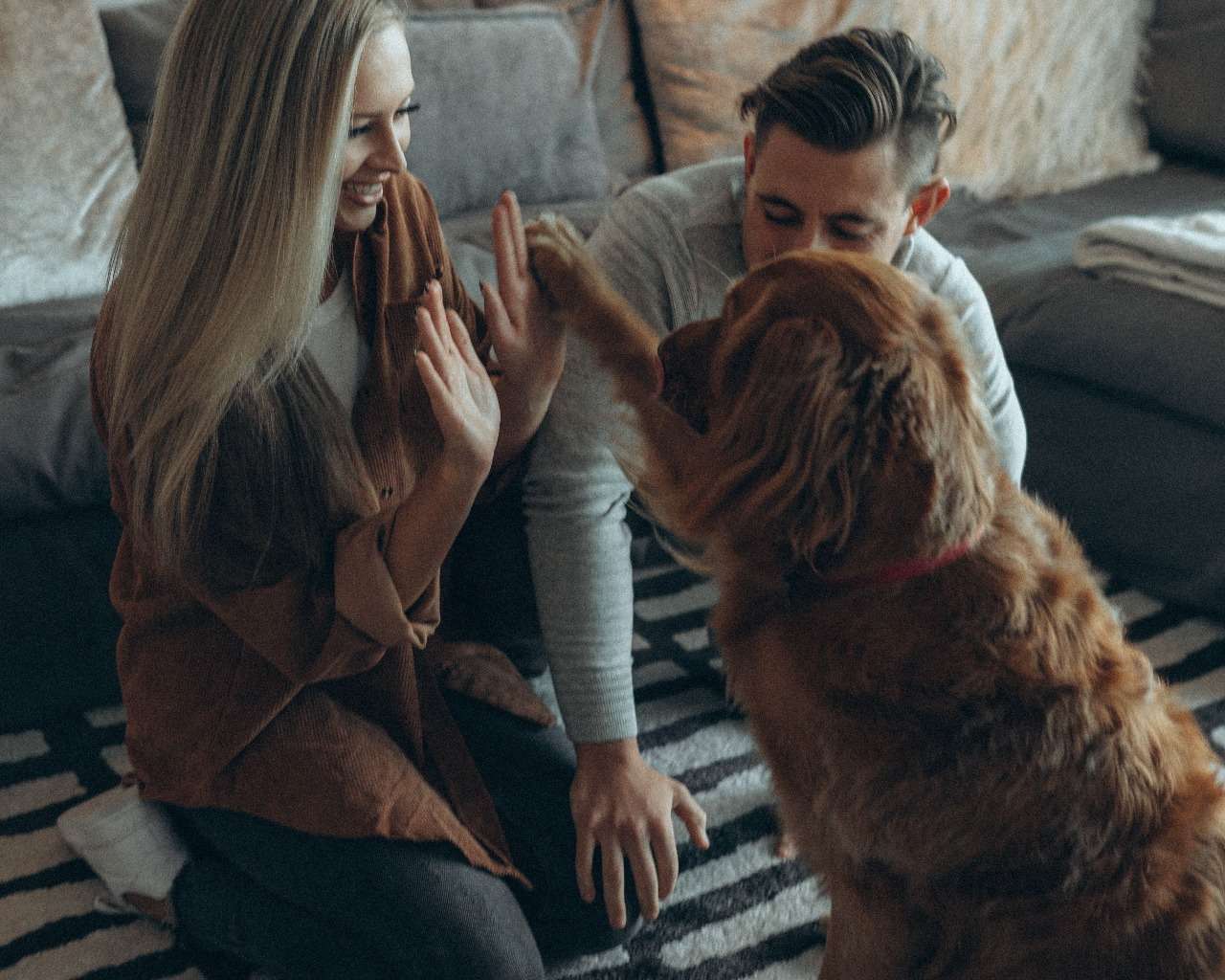 A man and woman sit on the floor, engaged in conversation, while a dog relaxes comfortably nearby.